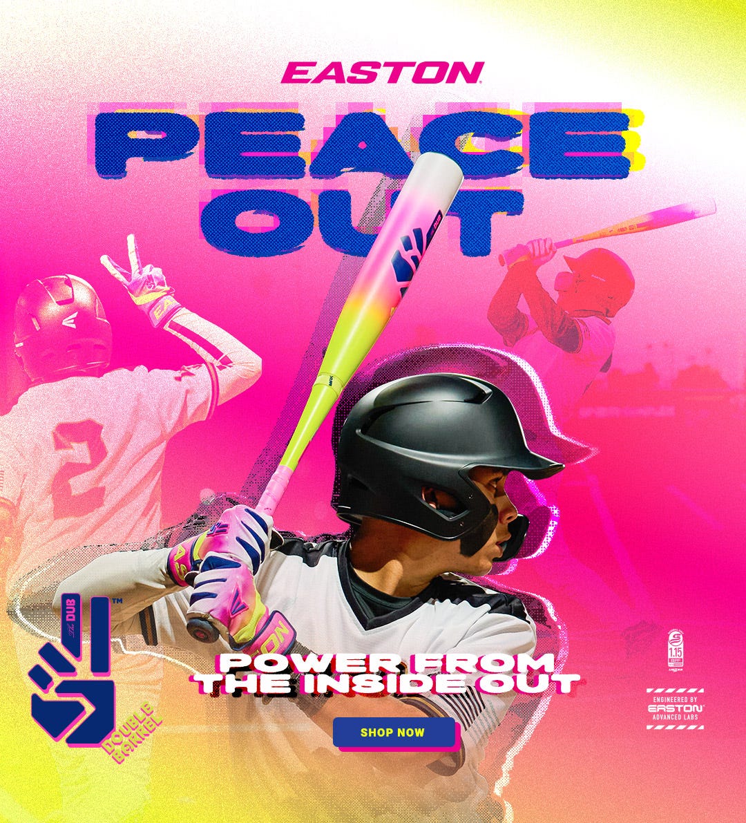 Easton The Dub Baseball Bats