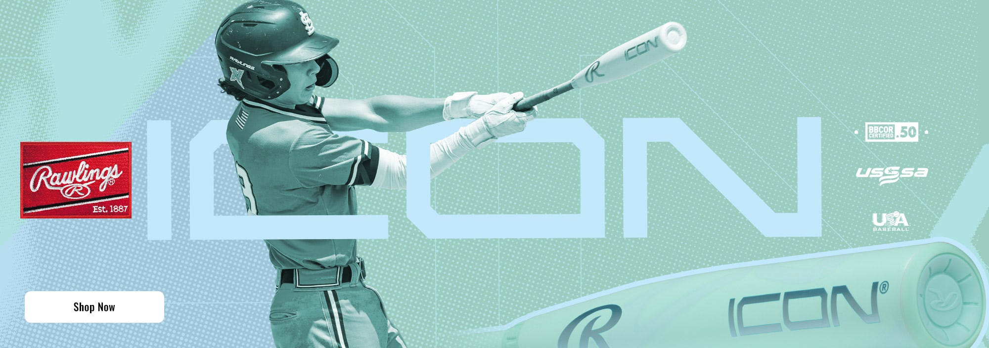 Rawlings 2026 Icon Baseball Bats
