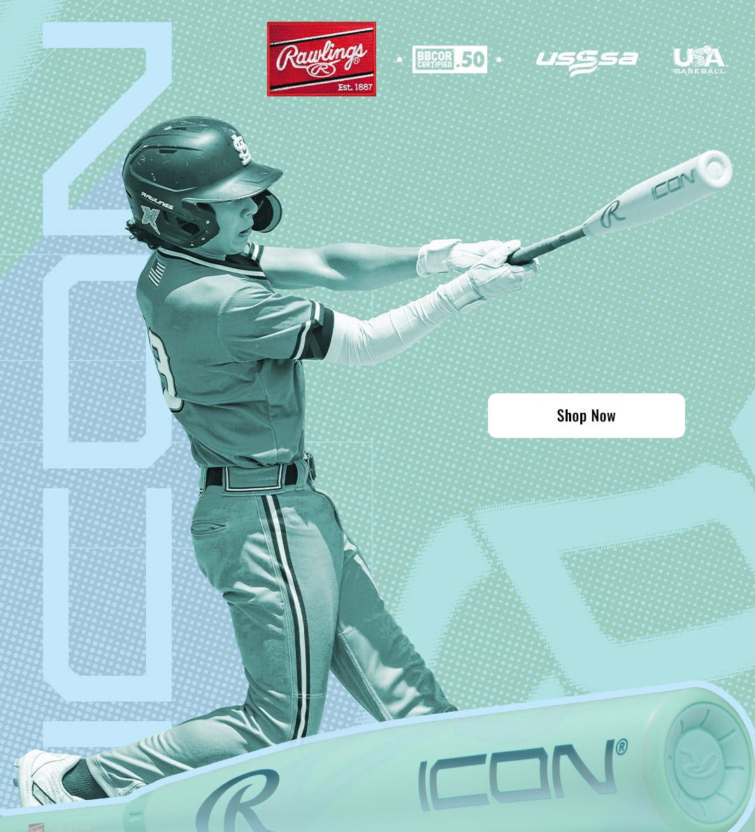 Rawlings 2026 Icon Baseball Bats