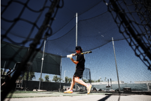 Why Does a Baseball Bat Sting Your Hands?