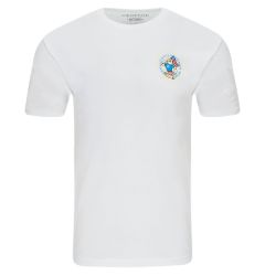 Baseball Lifestyle 101 Fastballs & Freedom Adult Short Sleeve Tee Shirt