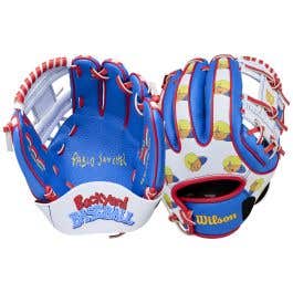 Wilson A200 EZ Catch Backyard Baseball Pablo 10