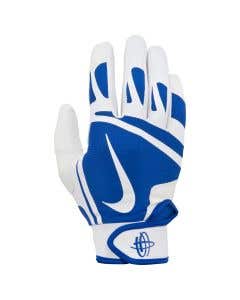 blue nike baseball glove