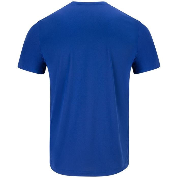 Nike MLB Texas Rangers Men's Icon Legend Performance T-Shirt