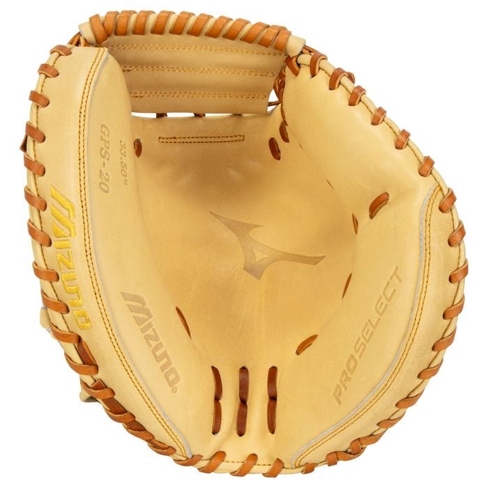 mizuno pro series catchers mitt