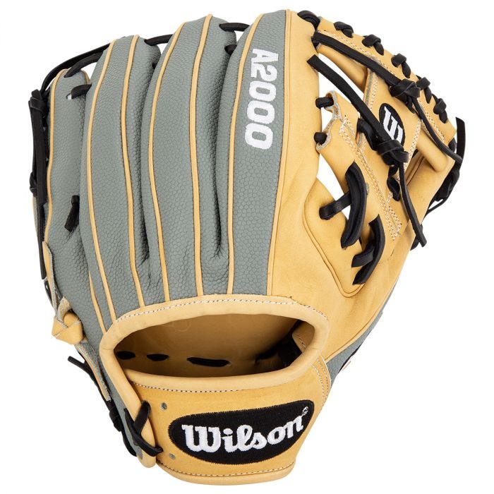 mizuno a2000 baseball glove